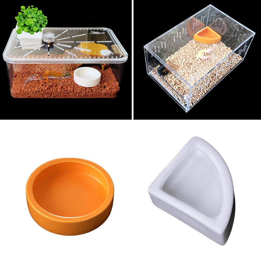 STAGA Reptile Food Bowl Mini Ceramic Water Feeder Bowl, Reptile Worm Feeding Dish for Lizard Turtle Bearded Dragon Animals & Pet Supplies > Pet Supplies > Reptile & Amphibian Supplies > Reptile & Amphibian Food STAGA   