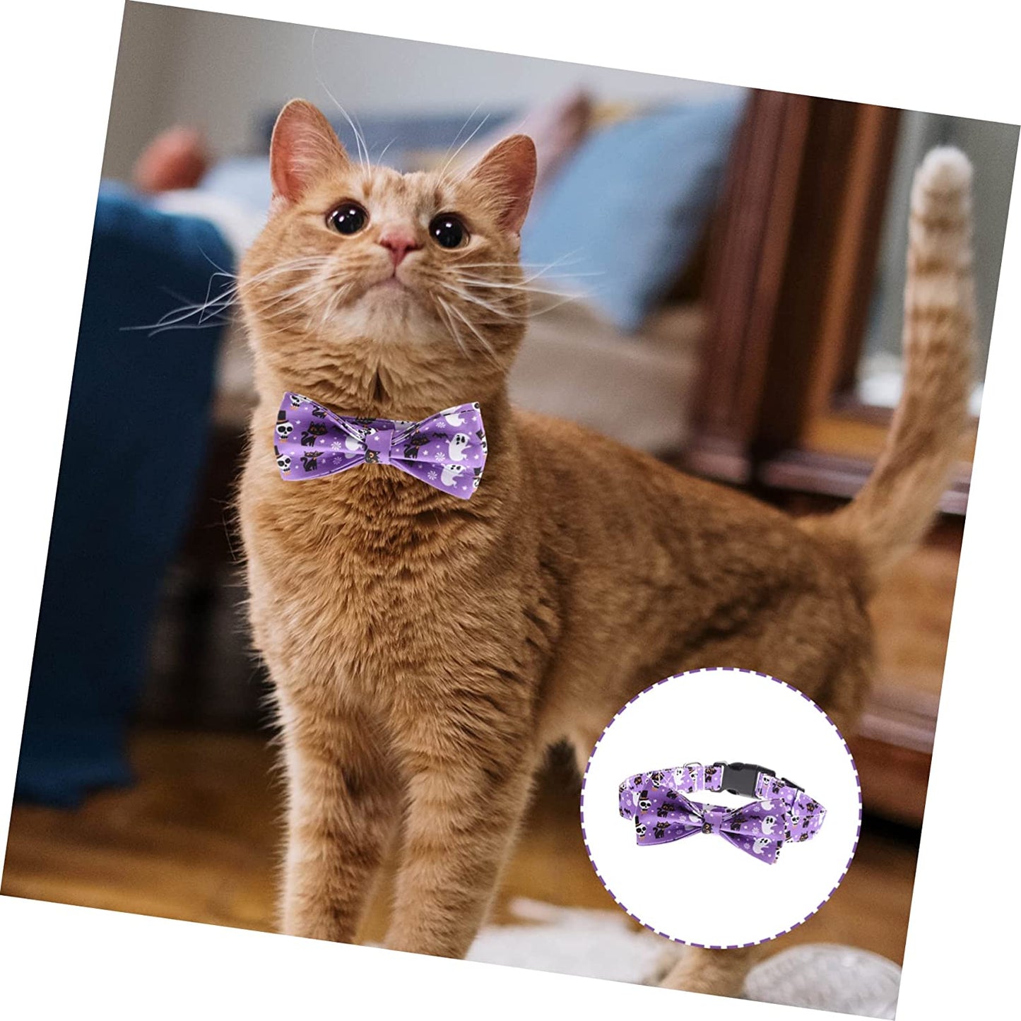 Generic 4Pcs Cat Decor Themed Collar Neckwear Pets Medium Collars Bowtie Bow Cats Fancy Designed Halloween Dog Photo for Removable Pet Comfortable Cute Decorative Adjustable Ties Purple Animals & Pet Supplies > Pet Supplies > Dog Supplies > Dog Apparel generic   