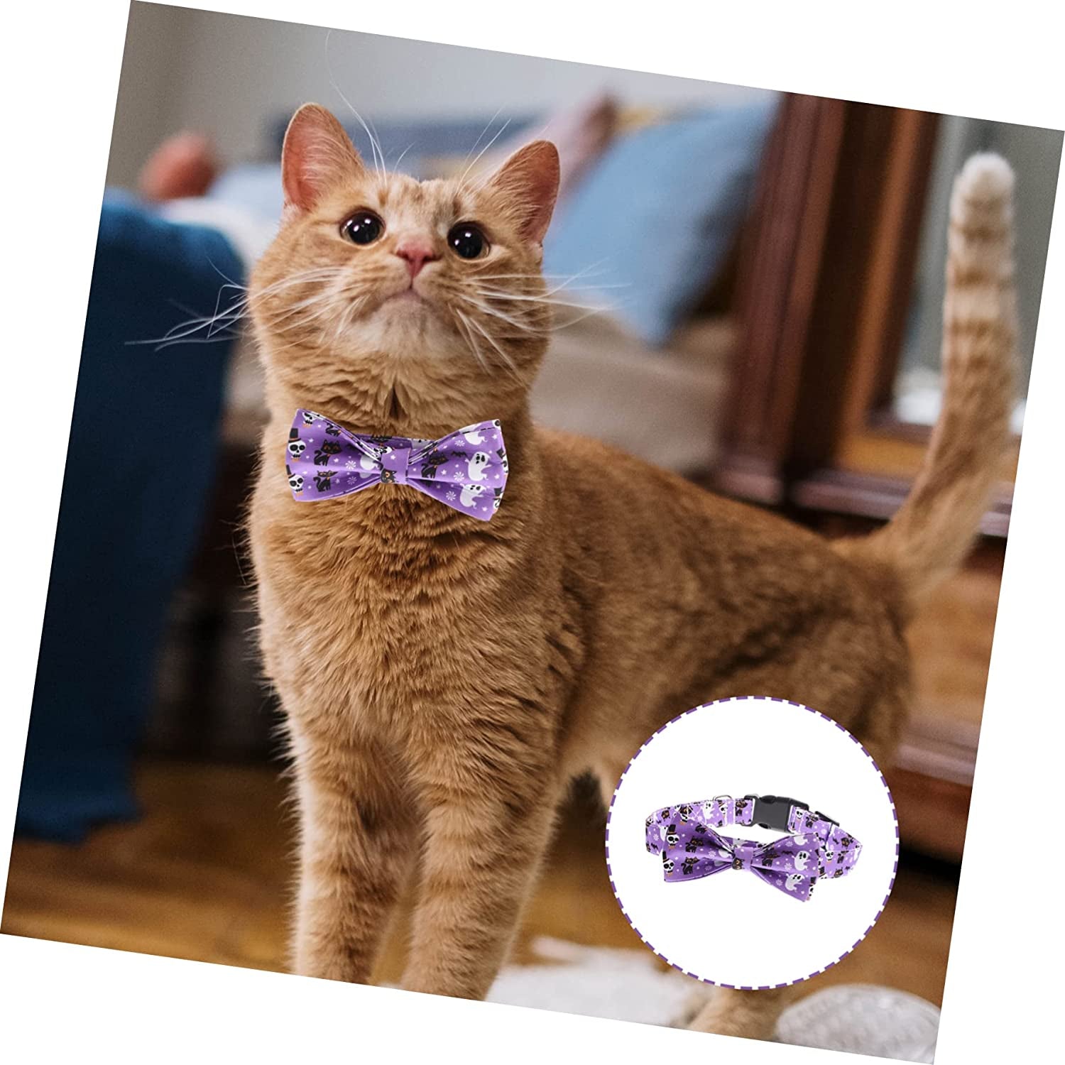Generic Cat Collar Necklace Puppy Fall Halloween Pet Bow Tie Style