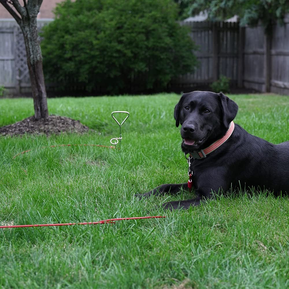 BV Pet Tie Out Cable for Dogs up to 125 Pounds, 30 Feet (Red/ 125Lbs/ 30Ft) Animals & Pet Supplies > Pet Supplies > Dog Supplies > Dog Apparel BV   