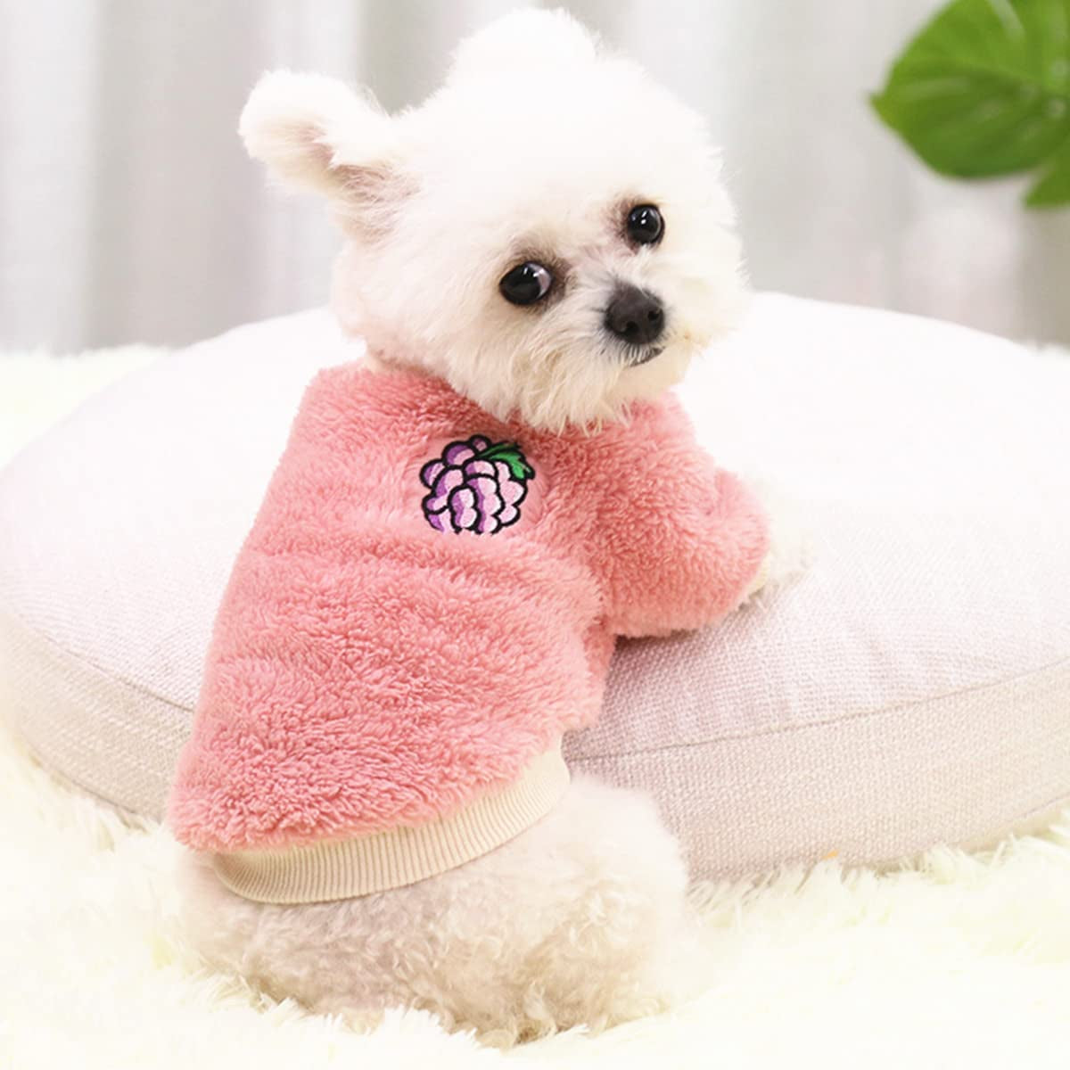Clothes for Dogs Girls, Dog Shirts for Small Dogs Girl,Dog Pajamas