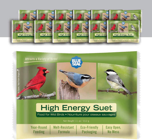 11Oz Year round Premium High Energy Bird Suet Cake 12Pk Animals & Pet Supplies > Pet Supplies > Bird Supplies > Bird Food Blue Seal   