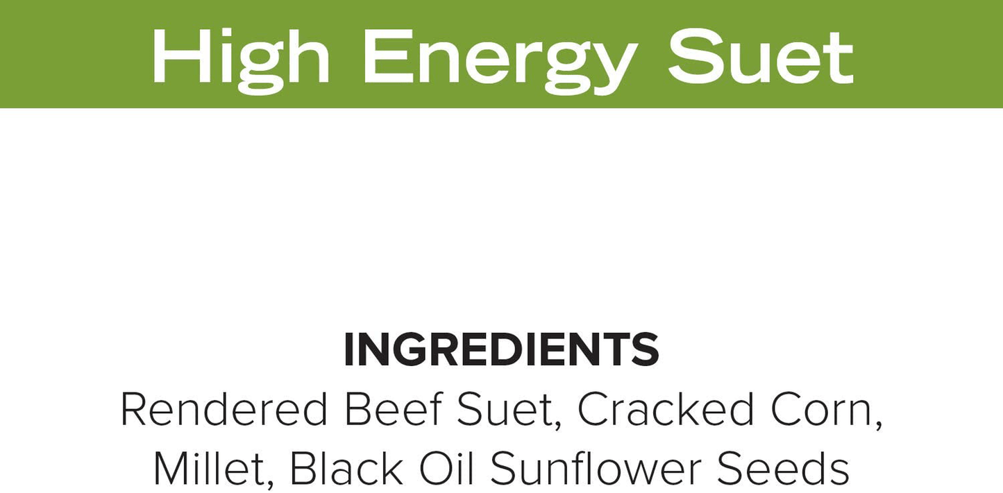 11Oz Year round Premium High Energy Bird Suet Cake 12Pk Animals & Pet Supplies > Pet Supplies > Bird Supplies > Bird Food Blue Seal   