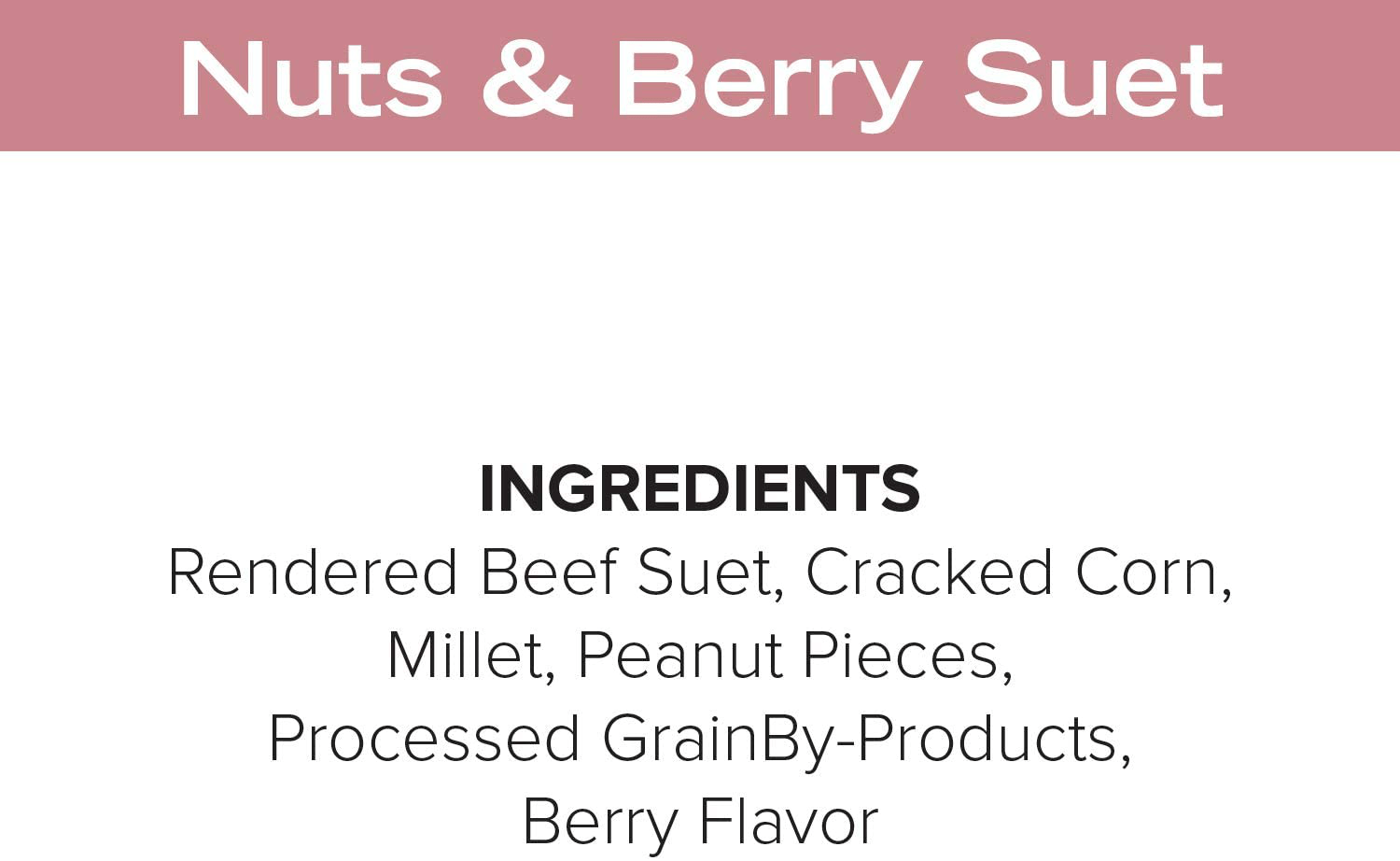 11Oz Year round Premium Nuts & Berry Bird Suet Cake 12Pk Animals & Pet Supplies > Pet Supplies > Bird Supplies > Bird Food Blue Seal   