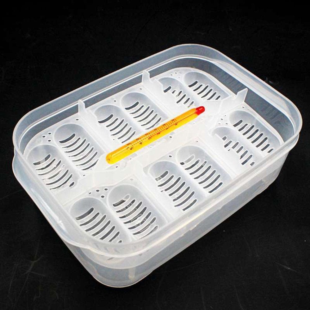 12 Grids Reptiles Eggs Incubator Tray, Amphibians Hatchery Box with Thermometer, Reptile Breeding Box Animals & Pet Supplies > Pet Supplies > Reptile & Amphibian Supplies > Reptile & Amphibian Substrates TOP Dream Furniture LLC   