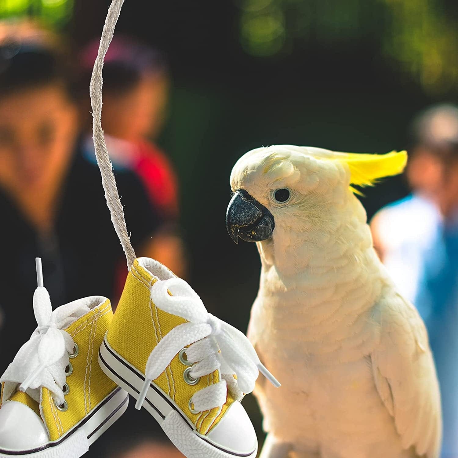 12 Pieces Bird Shoes Mini Sneaker Bird Toys Mini Finger Shoes Fingerboard Shoes Bird Chew Toys Bird Toy Sneakers Dog Shoes Doll Shoes Toy Shoes for Sneaker Keychain Shoe Keychains Parrot Toys Animals & Pet Supplies > Pet Supplies > Dog Supplies > Dog Apparel PETDCHEB   