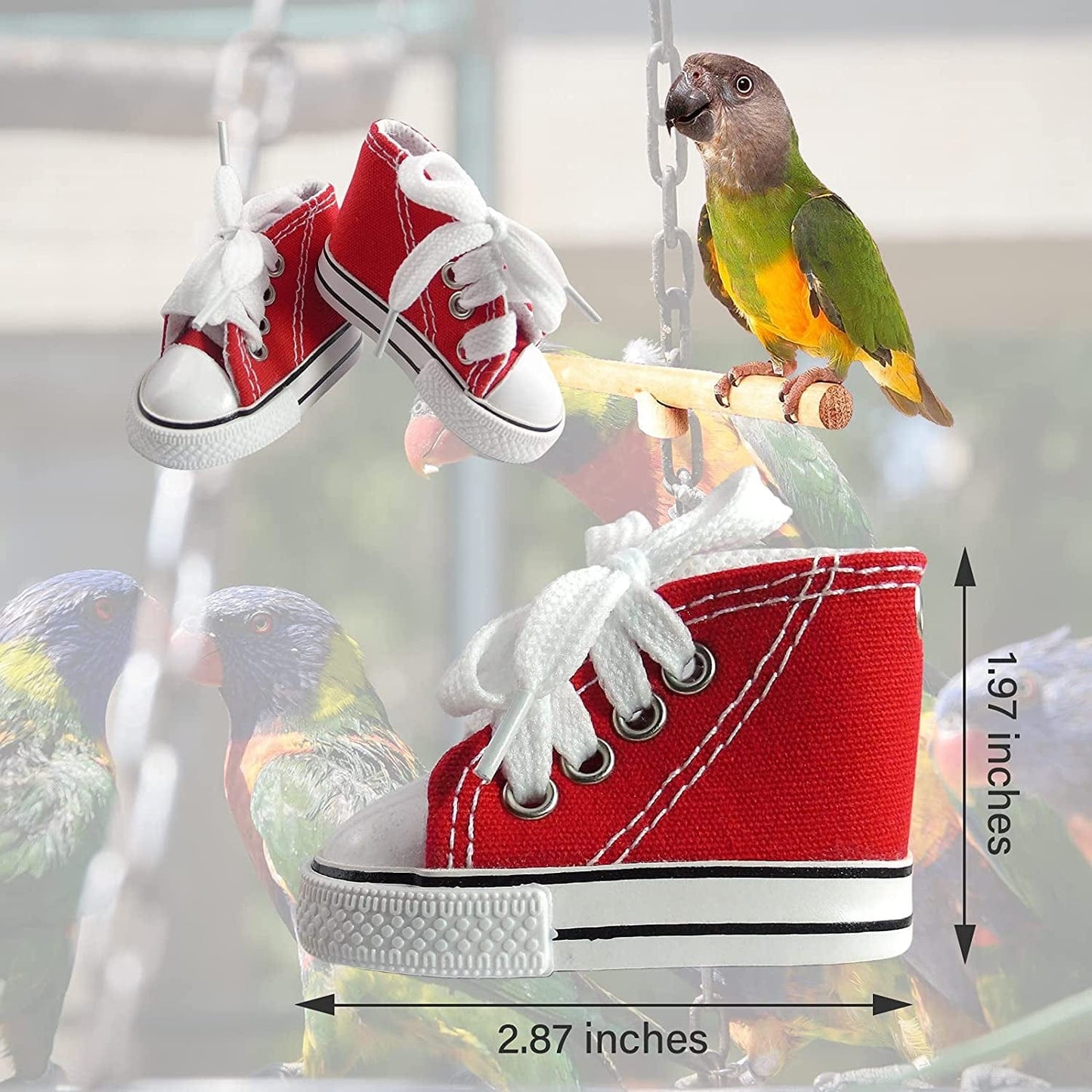 12 Pieces Bird Shoes Mini Sneaker Bird Toys Mini Finger Shoes Fingerboard Shoes Bird Chew Toys Bird Toy Sneakers Dog Shoes Doll Shoes Toy Shoes for Sneaker Keychain Shoe Keychains Parrot Toys Animals & Pet Supplies > Pet Supplies > Dog Supplies > Dog Apparel PETDCHEB   