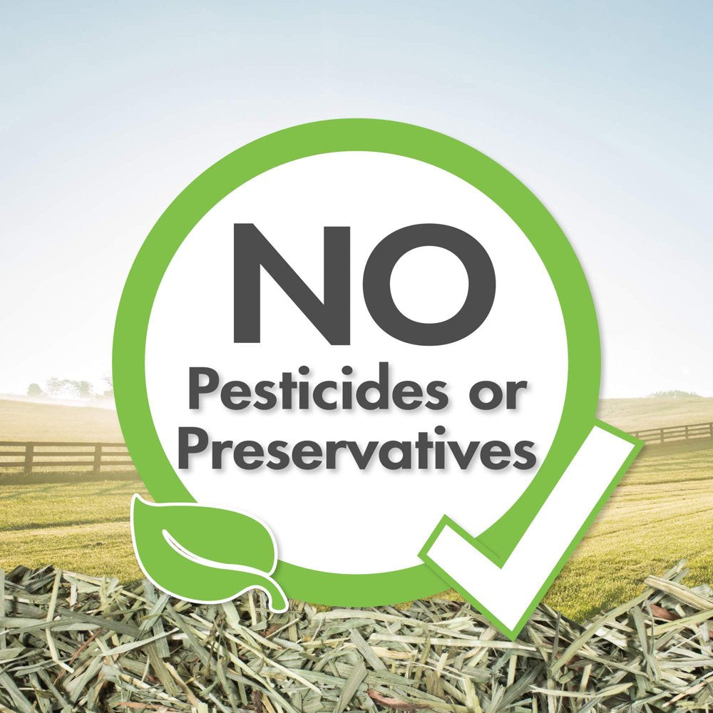 Vitakraft Small Animal Timothy Hay for Guinea Pigs, Rabbits, and Chinchillas - 3.5 Lb Animals & Pet Supplies > Pet Supplies > Small Animal Supplies > Small Animal Food Vitakraft Sun Seed   