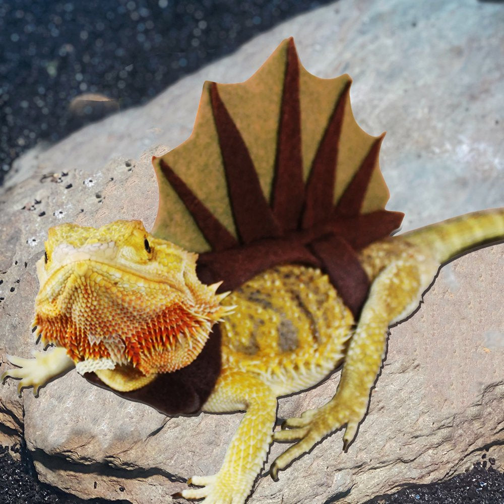 Vehomy Bearded Dragon Dinosaur Outfit Lizard Reptile Dinosaur Costume Handmade Felt Bearded Dragon Harness Bearded Dragon Lizard Accessories for Chameleon Gecko Anole Iguana Amphibians L Animals & Pet Supplies > Pet Supplies > Reptile & Amphibian Supplies > Reptile & Amphibian Food Vehomy   