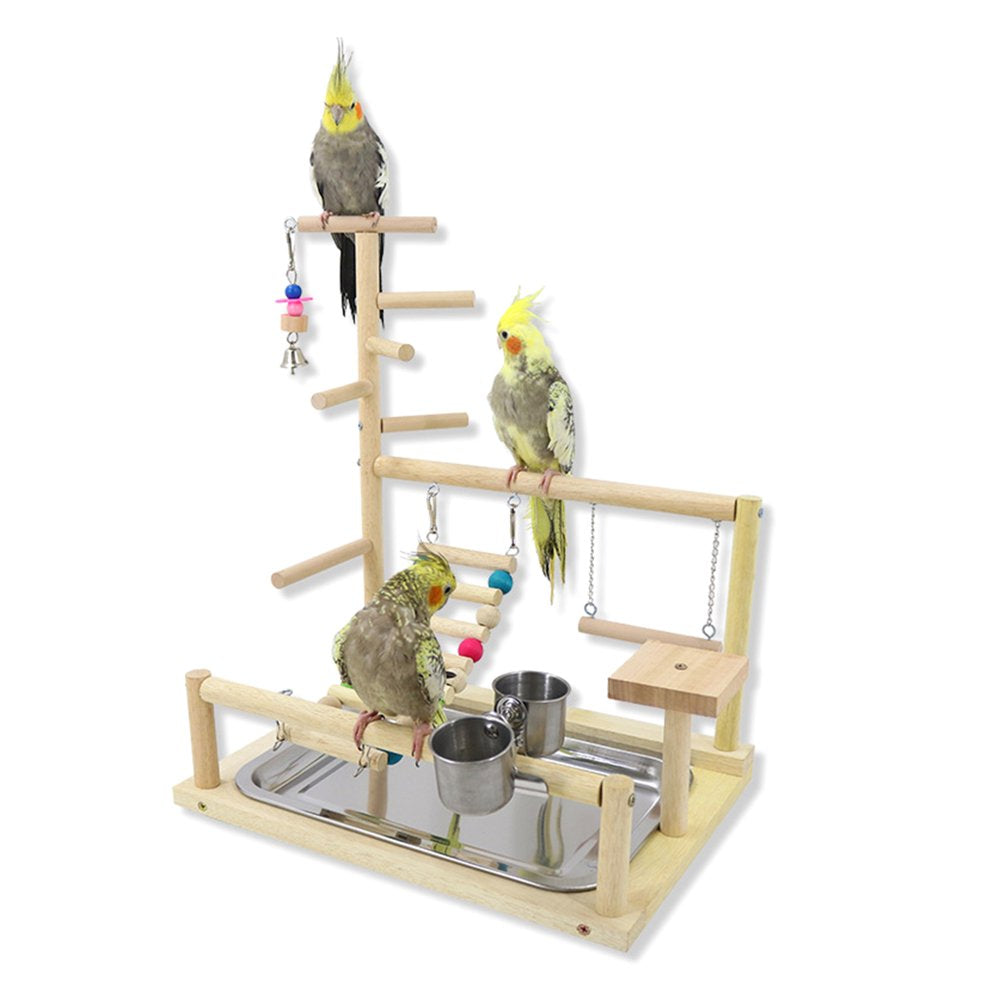 Bird Perch Stand Parrots Playstand Exercise Playgym with Feeder Cups Toys Gift