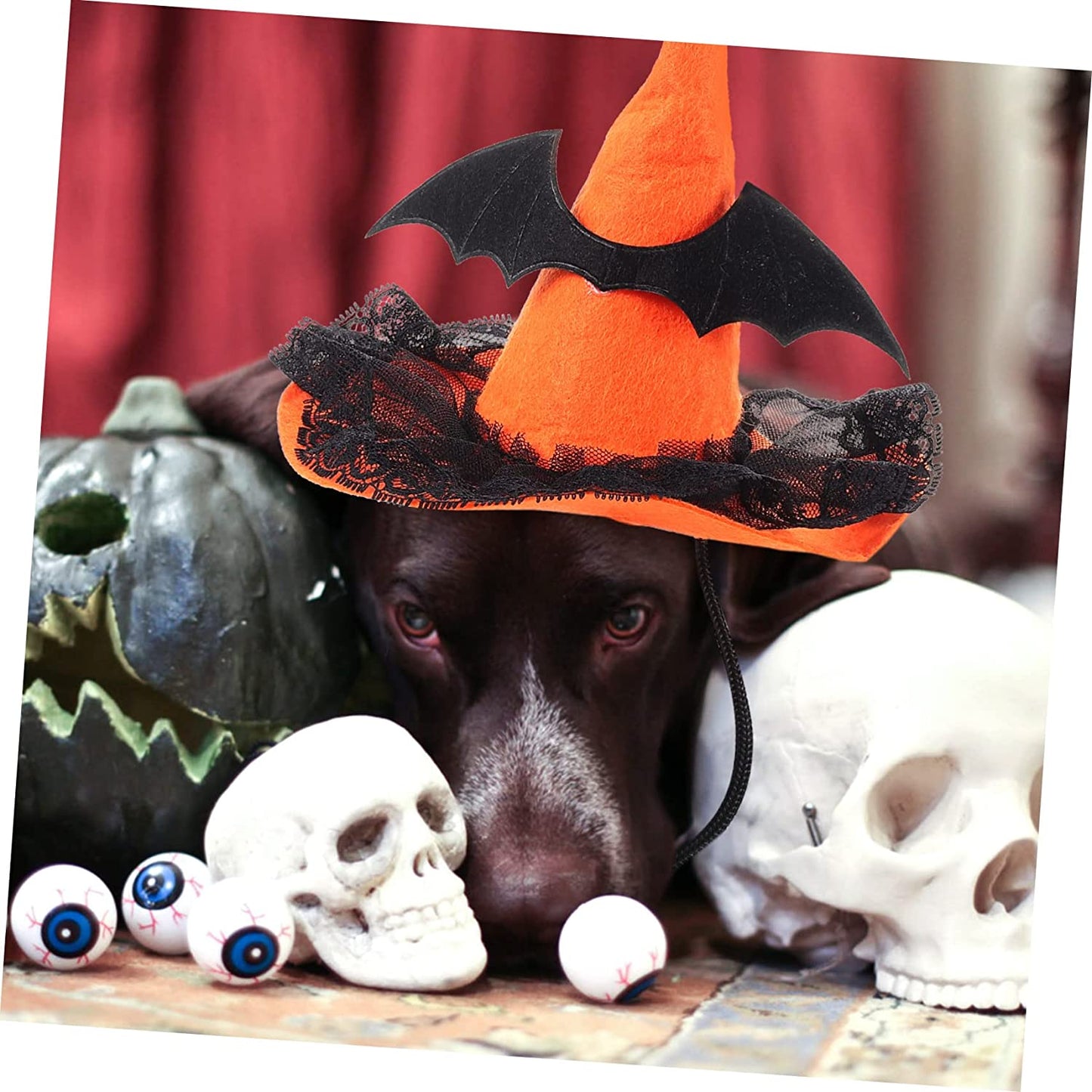 Balacoo Wizard Hat Adorable Decorative Costume for Props Witch Headgear Theme with Costumes Cute Supply Cone Lace Pet Dog Wear-Resistant Supplies Themed Hats Bat Black Pumpkin Funny