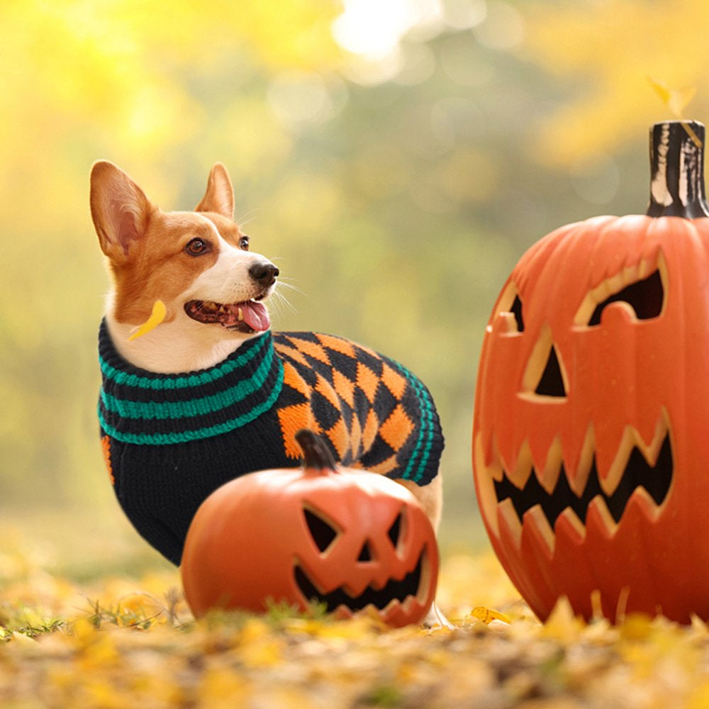 QBLEEV Pet Clothes the Halloween Orange Plaid Dog Sweater, Dog Knitwear Apparel, Pet Sweatshirt for Small and Medium Dogs