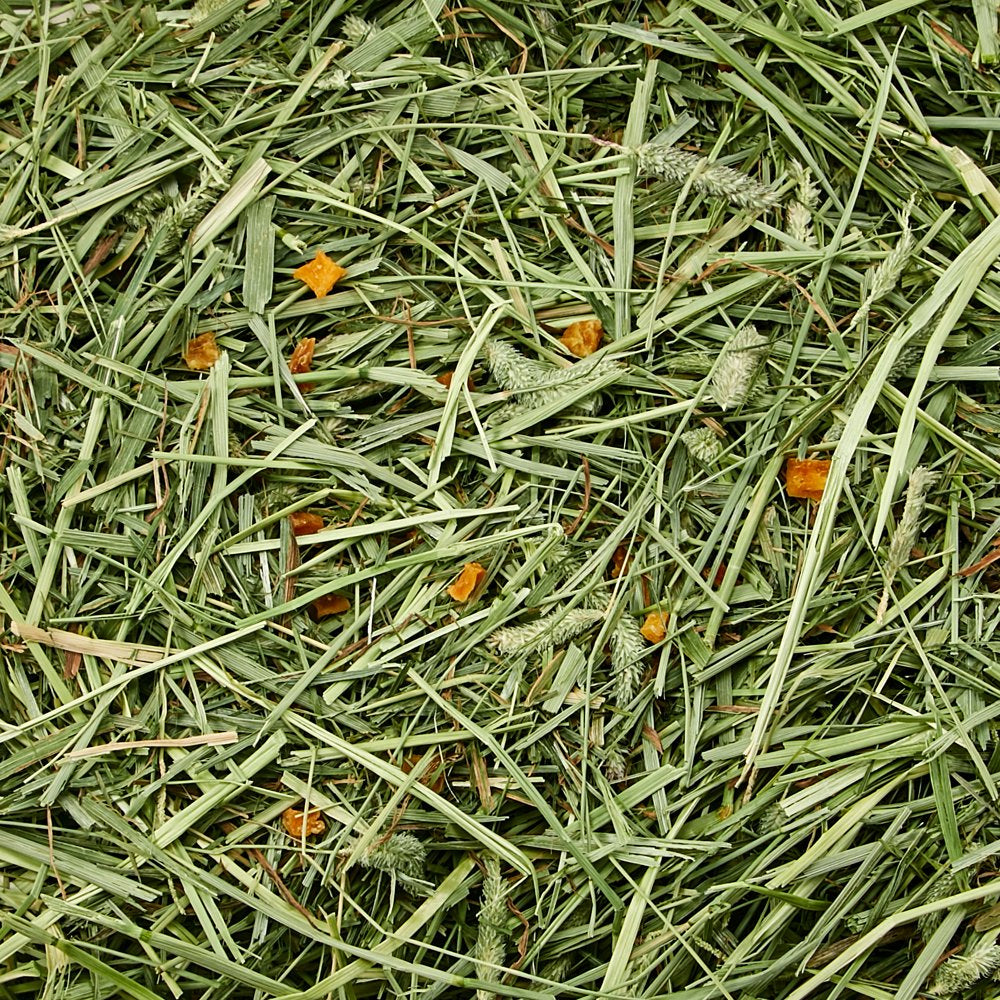 Kaytee Forti-Diet Timothy Ultra Hay with Sweet Potatoes 24 Oz Animals & Pet Supplies > Pet Supplies > Small Animal Supplies > Small Animal Food Central Garden and Pet   