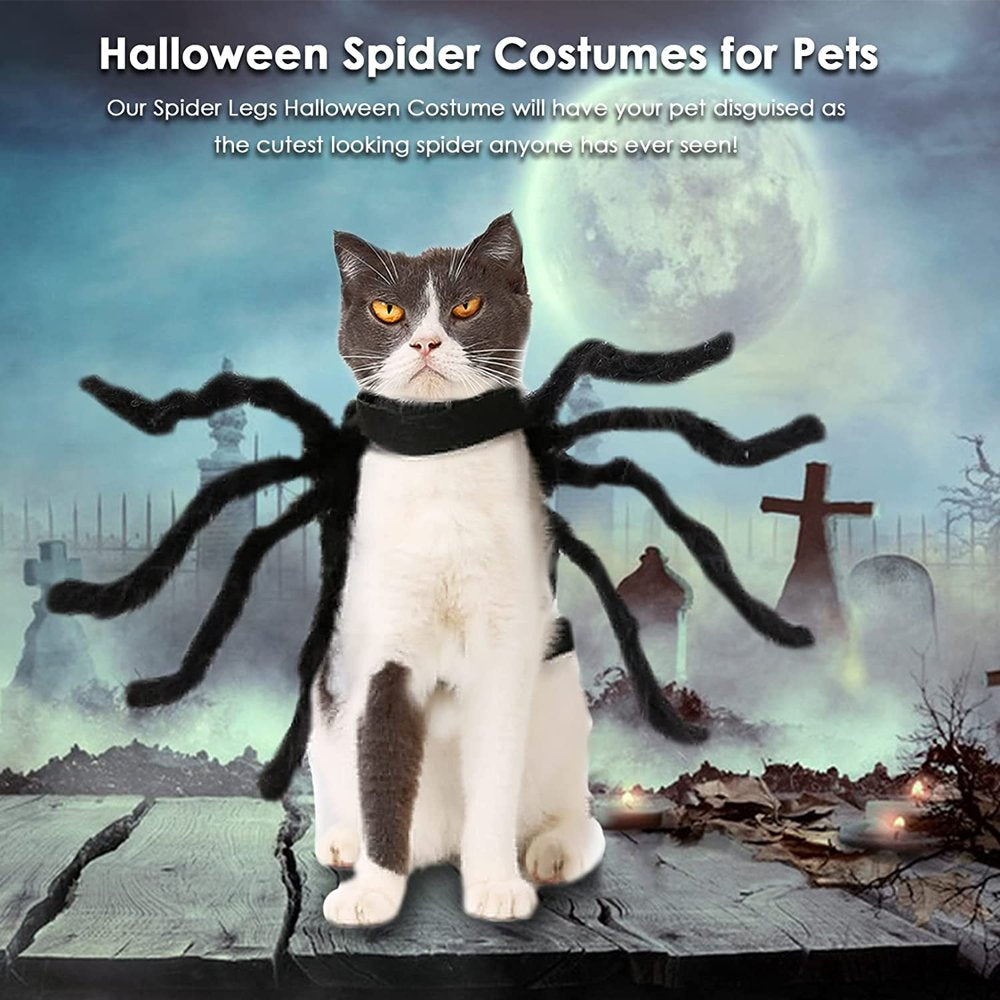 Dog Halloween Costumes- Dogs Cats Spider Costume for Halloween Party, Pets Spider Cosplay Costumes Dress up Apparel Accessories for Medium Small Dogs Cats Puppy, Size S/M/L/XL/XXL Animals & Pet Supplies > Pet Supplies > Cat Supplies > Cat Apparel Petmoko   