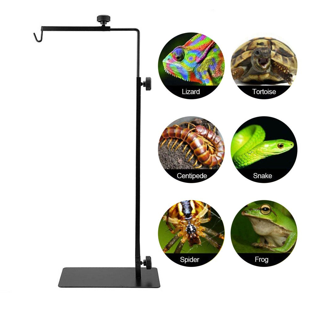 Miumaeov Small Iron Climbing Pet Reptiles Amphibians Light Stand Heating Lamps Black  ZQFLX   