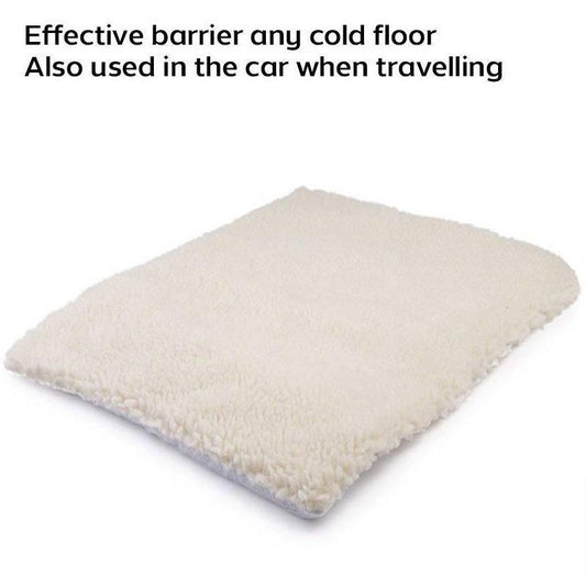 Pet Heating Pad Durable Waterproof Electric Warming Heated Bed Mat for Dogs Cats Animals & Pet Supplies > Pet Supplies > Cat Supplies > Cat Beds Dragonus   