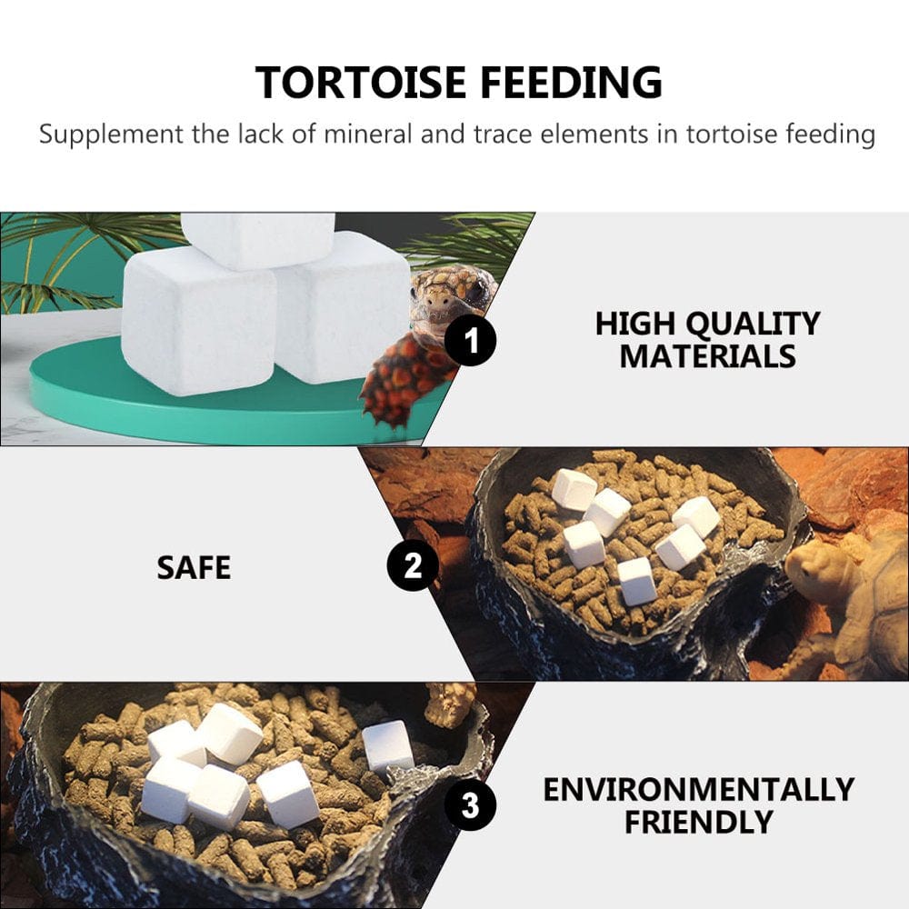 12Pcs Fish Tank Substrate Calcium Stone Natural Calcium Mineral for Tortoise Animals & Pet Supplies > Pet Supplies > Fish Supplies > Aquarium Gravel & Substrates FRCOLOR   