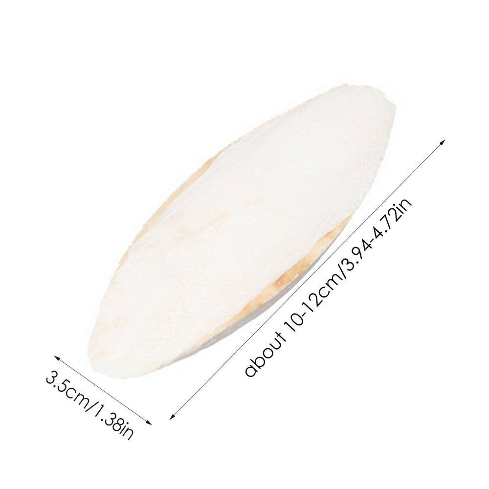 Natural Cuddle Bone Parrot Chew Toys Chewing Cuttlefish Bone Bird Cuttlebone for Parakeets Cockatiel Macaw Conur (10Pcs) Animals & Pet Supplies > Pet Supplies > Bird Supplies > Bird Toys Careslong   