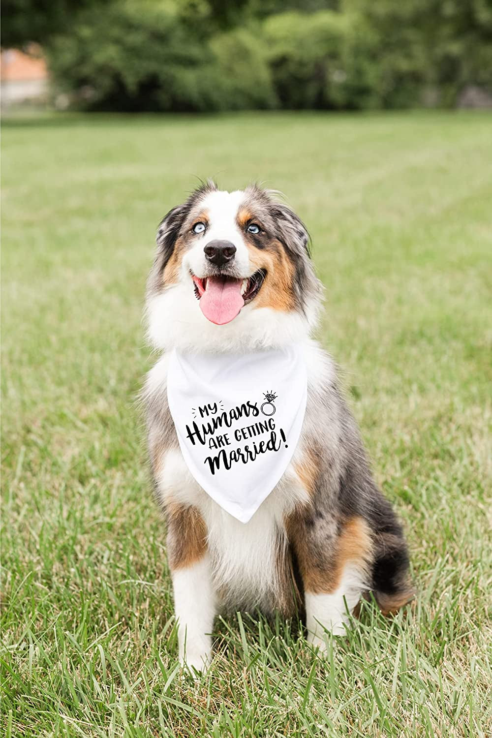 My Humans Are Getting Married Dog Bandana, Wedding Dog Bandana, Dog Engagement Announcement, Wedding Photo Prop, Pet Scarf, Pet Accessories Animals & Pet Supplies > Pet Supplies > Dog Supplies > Dog Apparel Moonwake Designs Co   