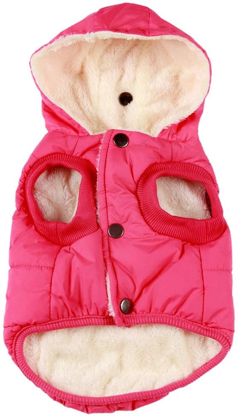 Vecomfy Fleece Lining Extra Warm Dog Hoodie in Winter,Small Dog Jacket Puppy Coats with Hooded,Red S Animals & Pet Supplies > Pet Supplies > Dog Supplies > Dog Apparel Yingxu Pink Large (Pack of 1) 