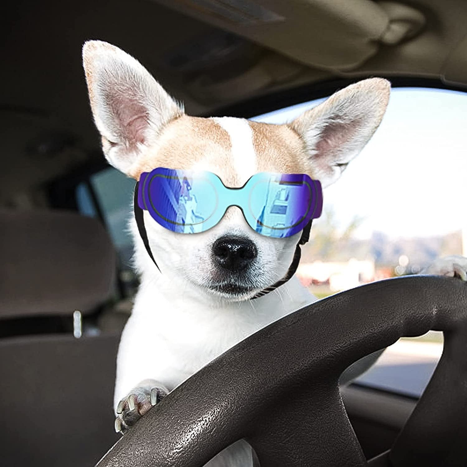 NAMSAN Small Dog Sunglasses UV Protection Adjustable Doggy Goggles Easy Wear Windproof Motorcycle Puppy Glasses (Bright Blue) Animals & Pet Supplies > Pet Supplies > Dog Supplies > Dog Apparel Namsan Bright Blue  