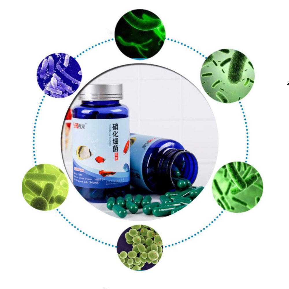 BOOYOU 20/30/50/80/100 Pcs Aquarium Nitrifying Bacteria Concentrated Capsule Fish Tank Pond Cleaning Fresh Water Supplies