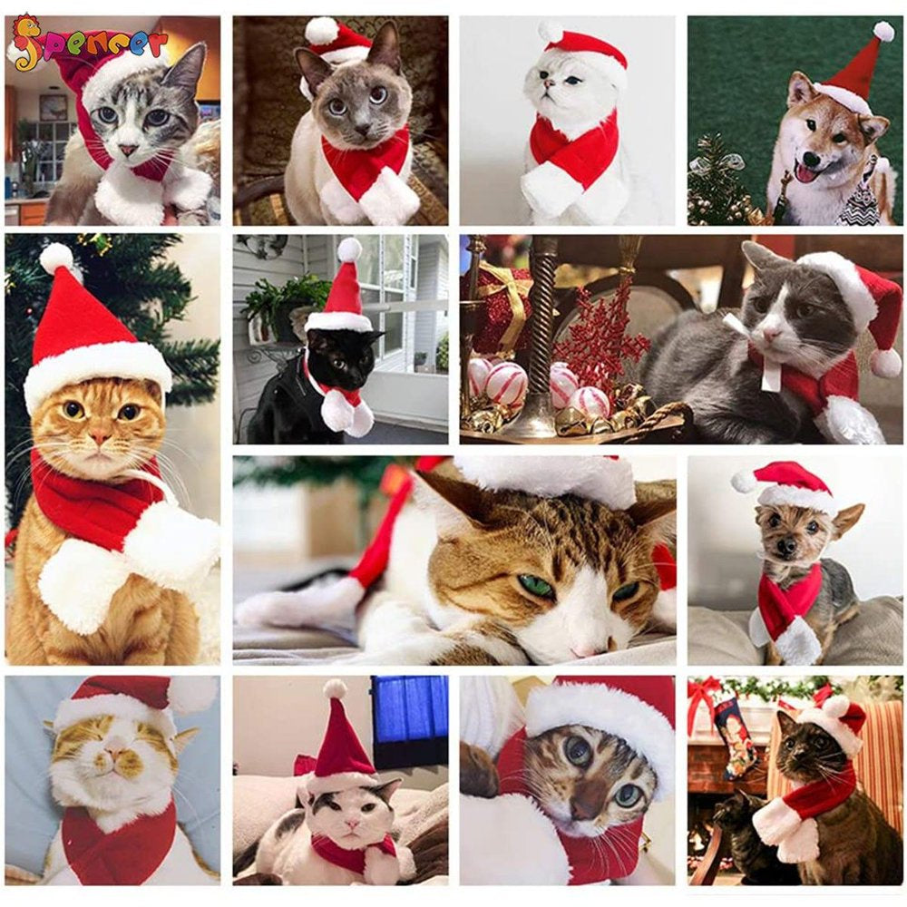 Spencer 2Pcs Pet Dog Cat Santa Hat & Red Scarf Set Christmas Outfit Pet Costume Apparels for Puppys Small Cats Animals & Pet Supplies > Pet Supplies > Dog Supplies > Dog Apparel Spencer   