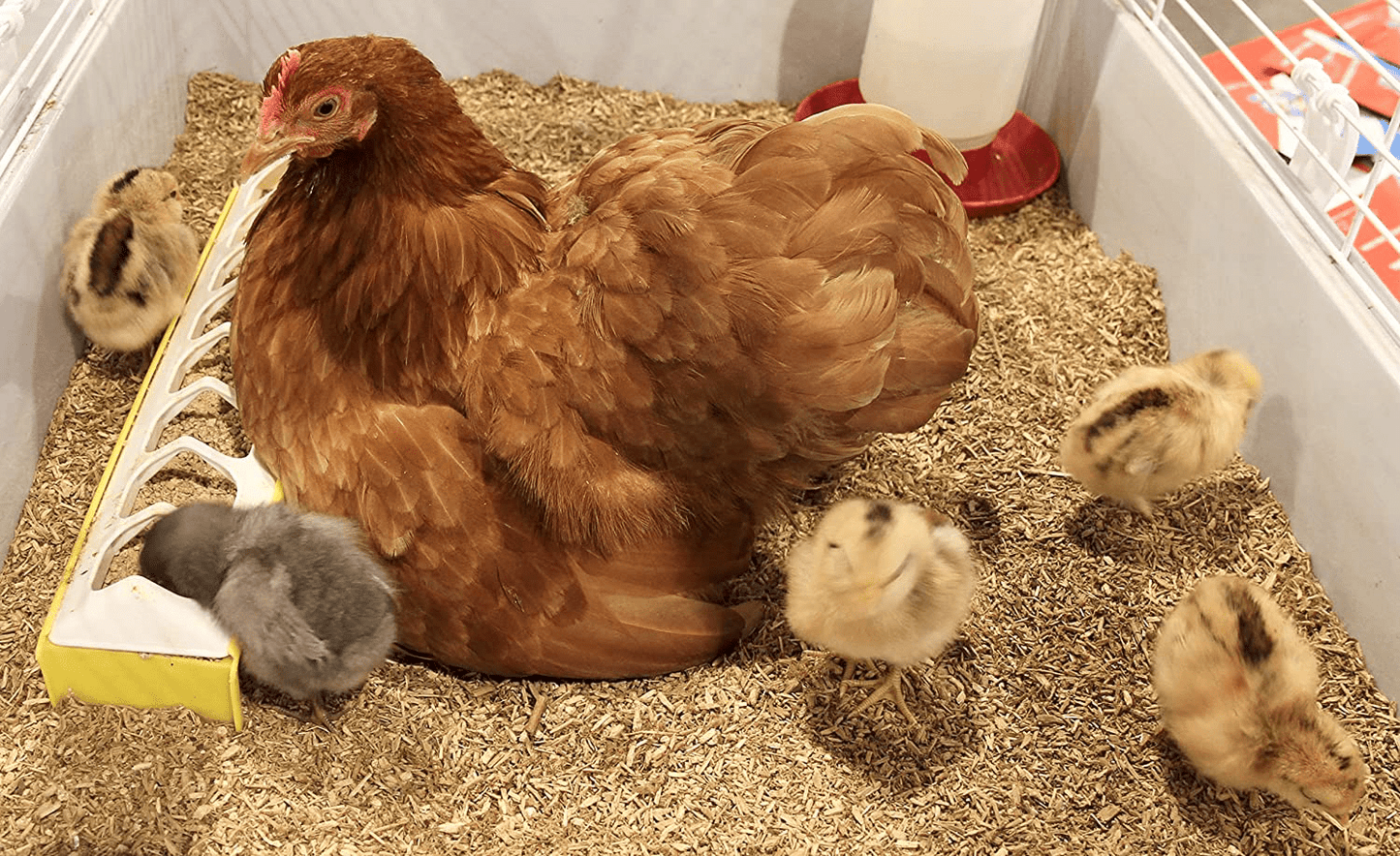 141 L Rowdy Rooster Hemp Animal Bedding Animals & Pet Supplies > Pet Supplies > Small Animal Supplies > Small Animal Bedding GENH Halcyon Acquisition, LLC   