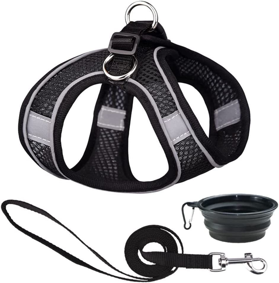 Dog Harness and Leash Set Reflective Pet Puppy Vest Harnesses Adjustable Step in Soft Mesh for Medium Girl Boy Cats Kitten Orange Animals & Pet Supplies > Pet Supplies > Dog Supplies > Dog Apparel Weimostar Black XS 