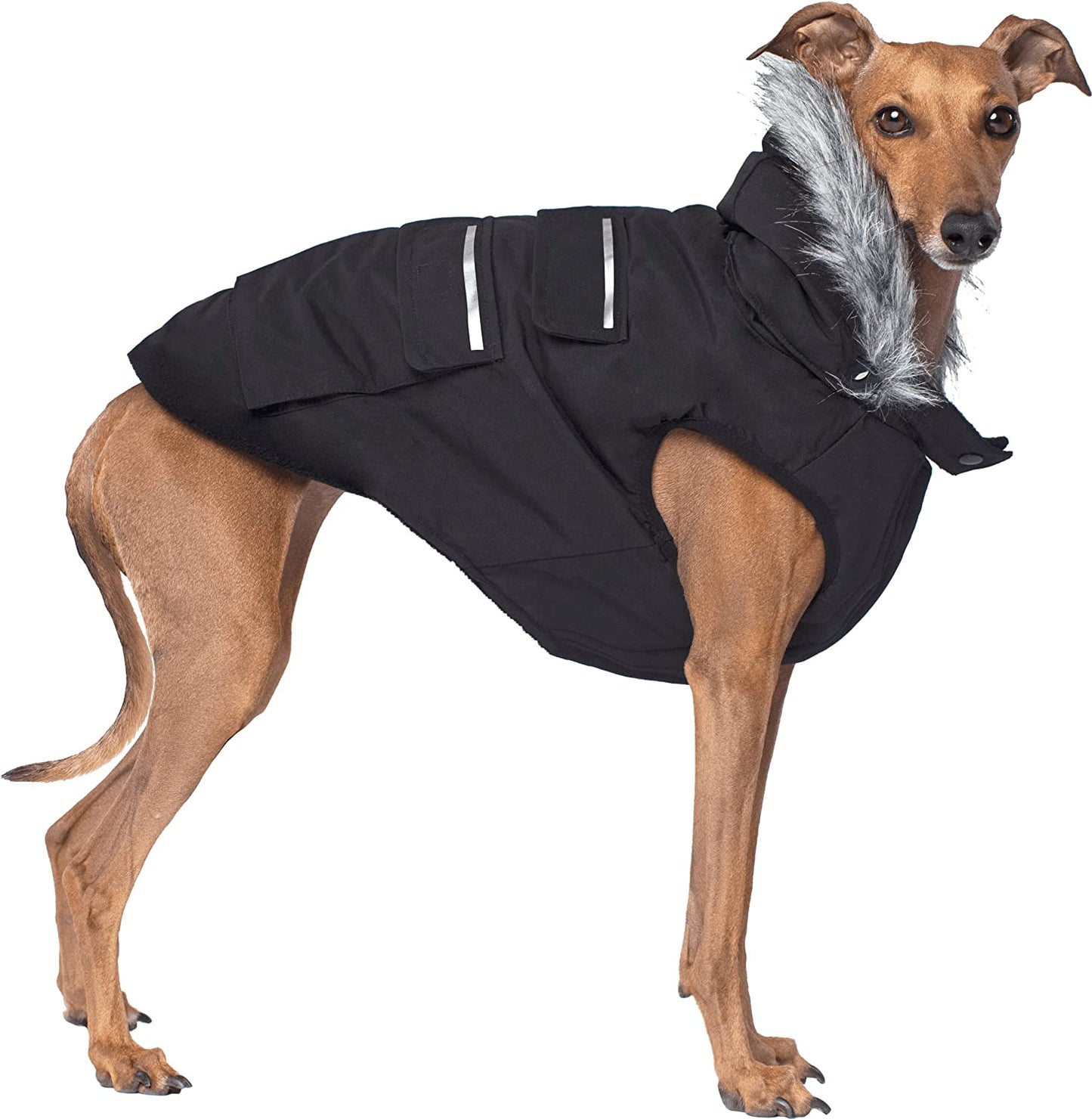 Canada Pooch Dog Winter Vest with Water-Resistent Insulation down Jacket for Warmth Comfortable Winter Dog Coat with Fleece Lining Easy on Velcro Closure for Small Medium Large Dogs - Black/Size 20 Animals & Pet Supplies > Pet Supplies > Dog Supplies > Dog Apparel Canada Pooch Black 10 (9-11" back length) 