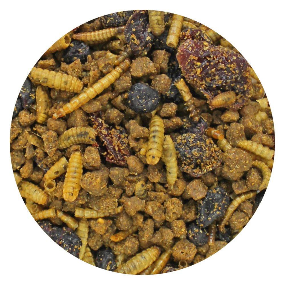 Exotic Nutrition Berries & Bugs 10 Lb.
