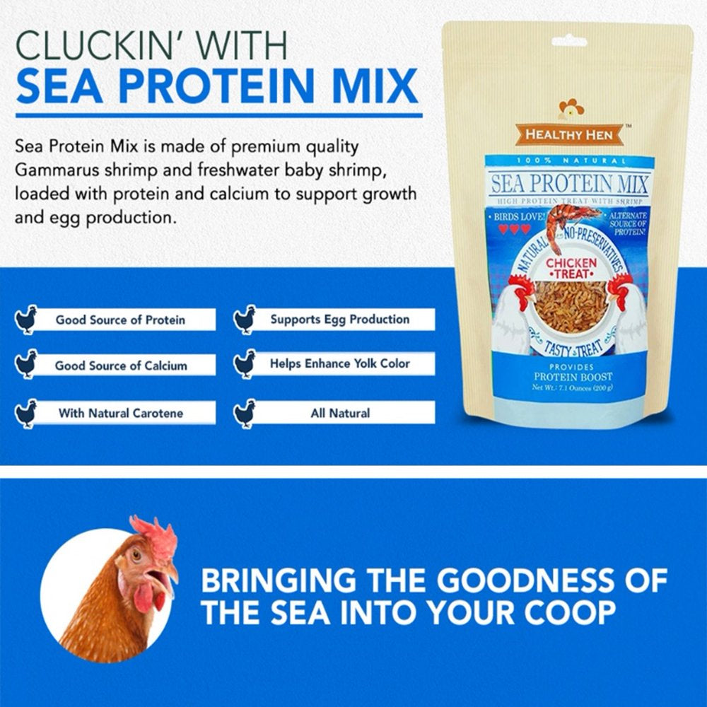 Healthy Hen™ Sea Protein Mix - Shrimp: Animal Protein & Carotene- Poultry Treat 7 Ounce