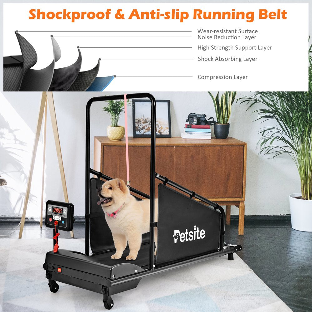 Petsite Pet Treadmill Indoor Exercise for Dogs Pet Exercise Equipment W/ Remote Control Animals & Pet Supplies > Pet Supplies > Dog Supplies > Dog Treadmills Costway   