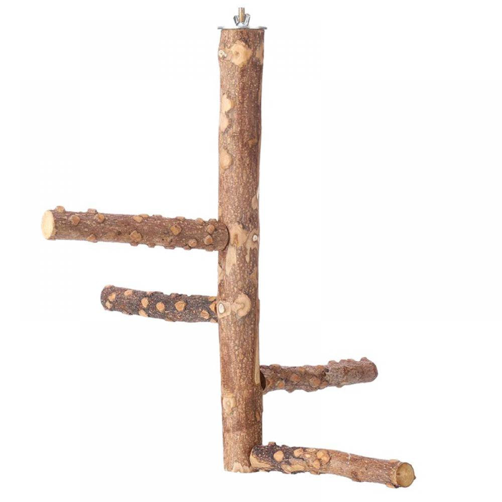 Bird Natural Wood Stand,Parrot Cage Top Wooden Branches for Standing,Toys for Small Medium Parrots Conure Budgie Lovebirds Animals & Pet Supplies > Pet Supplies > Bird Supplies > Bird Cages & Stands Tradecan M  