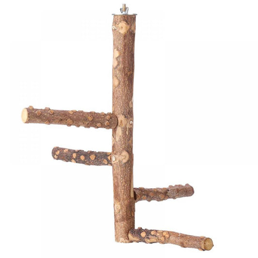 Bird Natural Wood Stand,Parrot Cage Top Wooden Branches for Standing,Toys for Small Medium Parrots Conure Budgie Lovebirds Animals & Pet Supplies > Pet Supplies > Bird Supplies > Bird Cages & Stands Amazingfashion S  