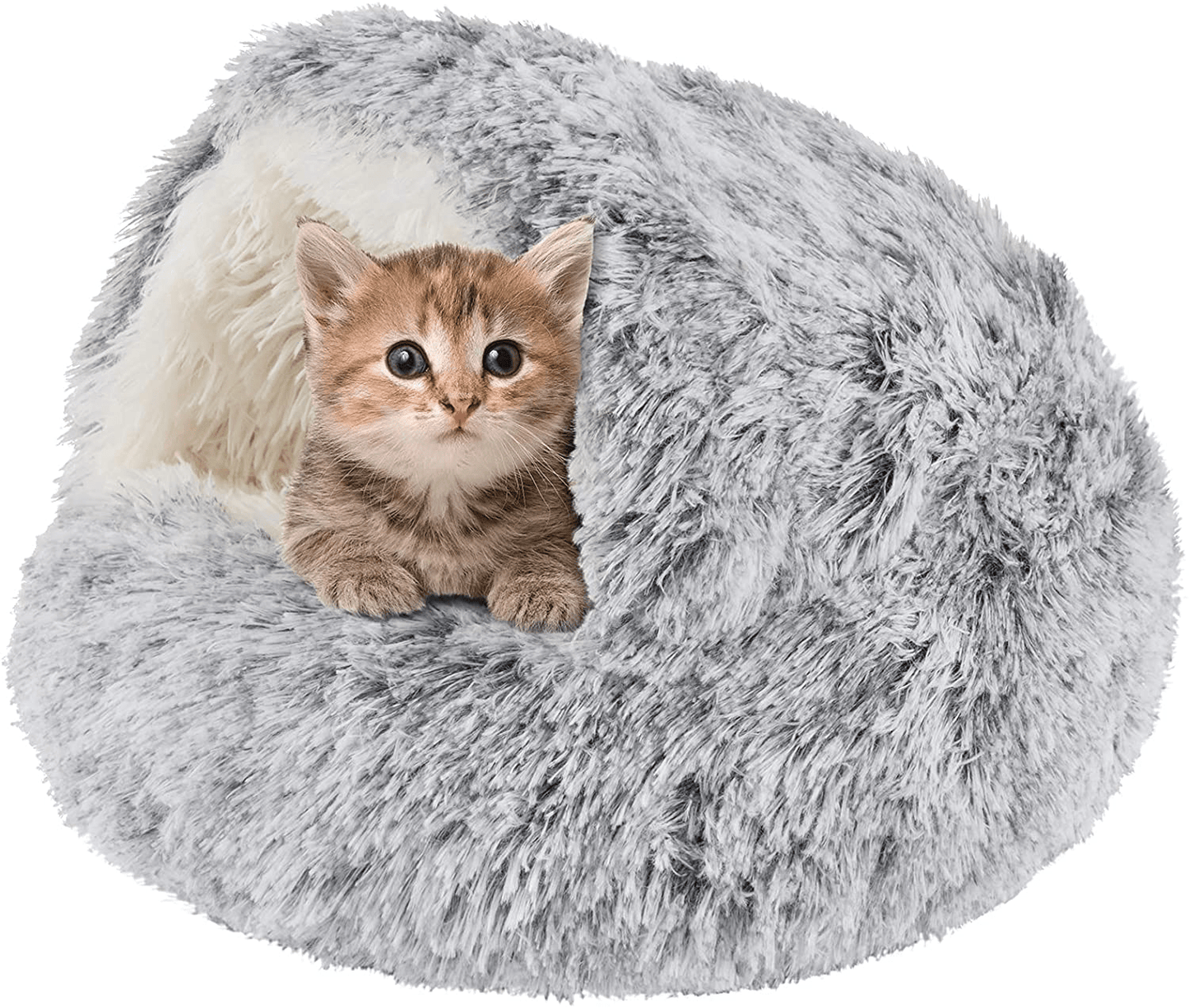 Cheap sales cat beds
