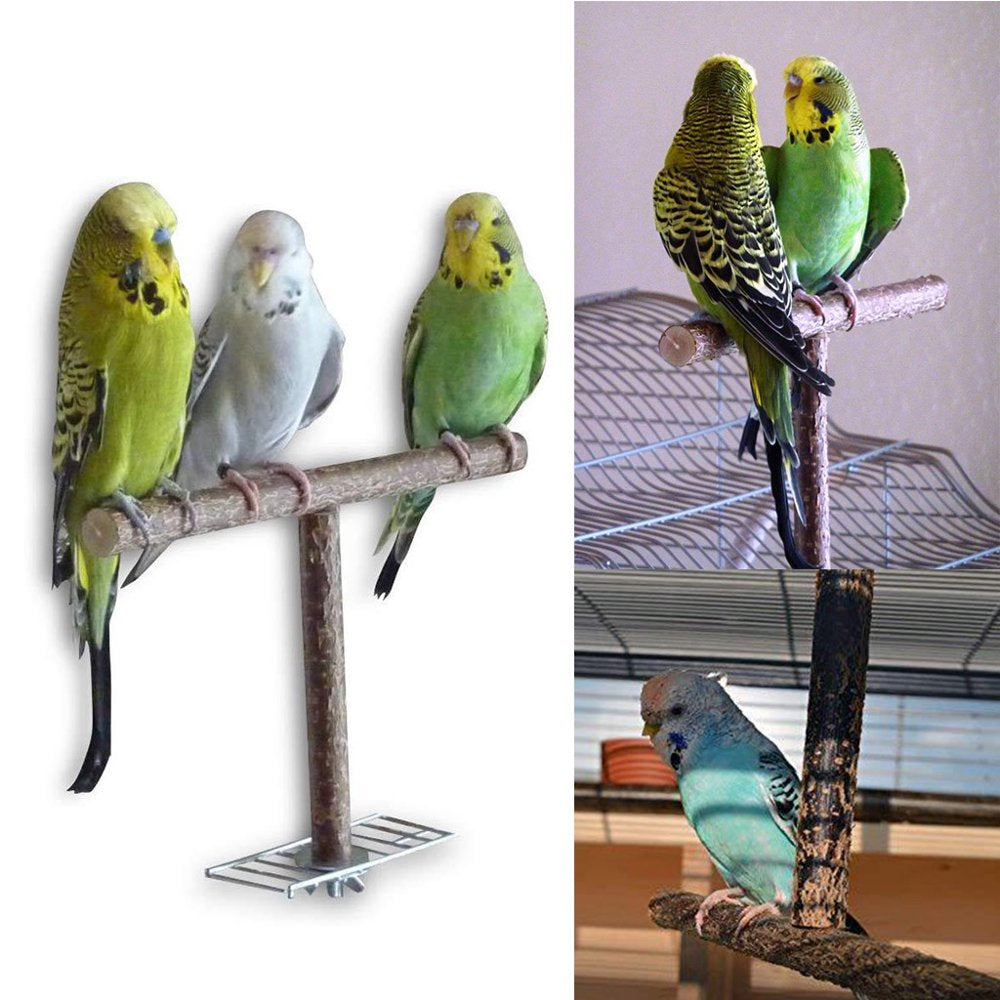 BINYOU Bird Parrot Cage Toys Training T Perch Grinding Chewing Parakeet Natural Wood Stand Toy Animals & Pet Supplies > Pet Supplies > Bird Supplies > Bird Cages & Stands BINYOU   