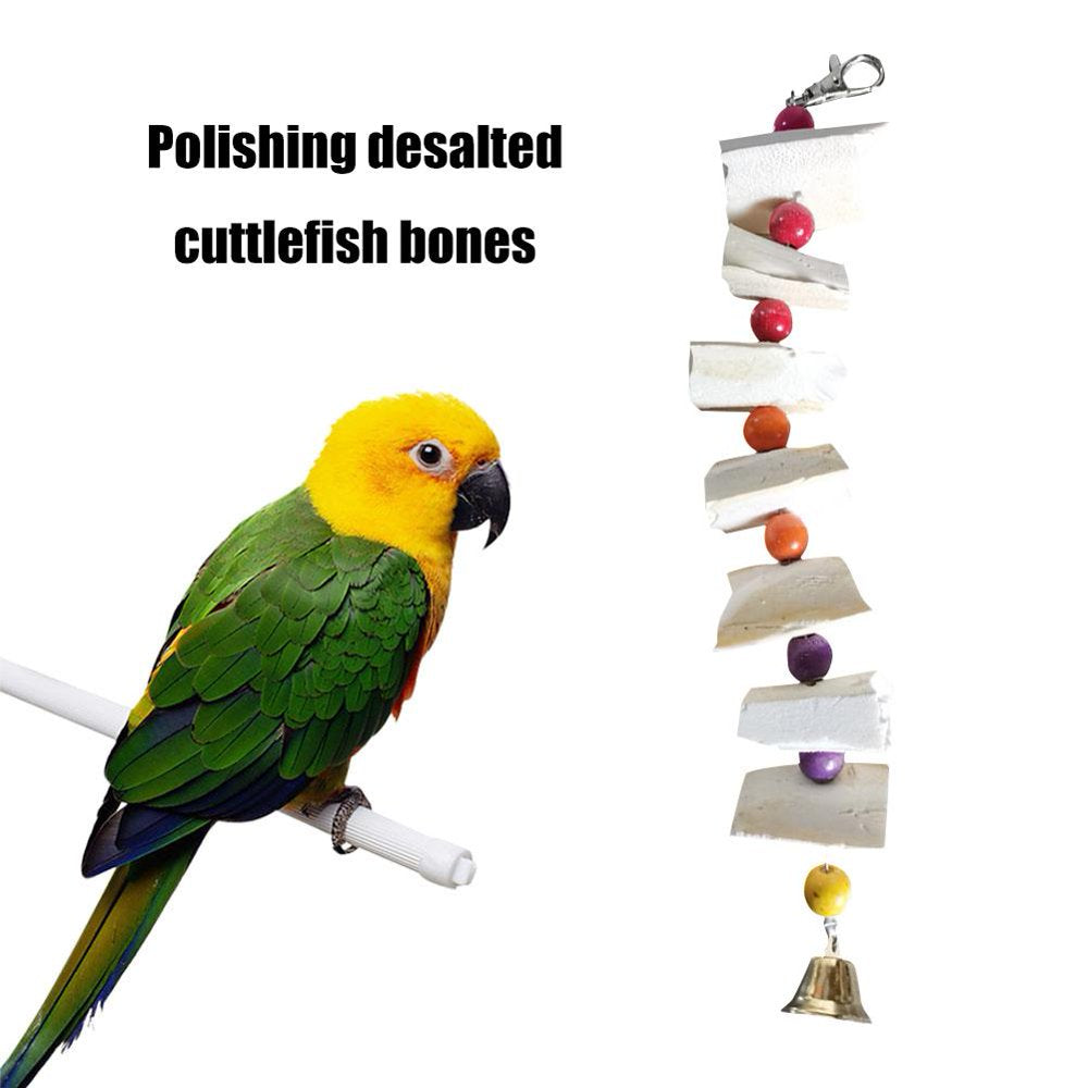 Funnybeans Parrot Cuttlefish Bones Bird Calcium Supplements Bird Food (6 Pack) Animals & Pet Supplies > Pet Supplies > Bird Supplies > Bird Food GreenBeans Products   