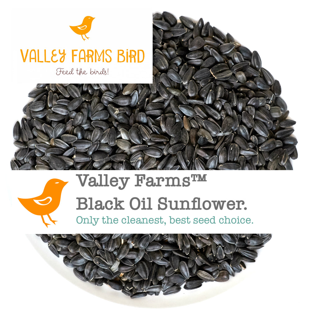 Valley Farms Black Oil Sunflower Seed Wild Bird Food Animals & Pet Supplies > Pet Supplies > Bird Supplies > Bird Food Valley Farms   