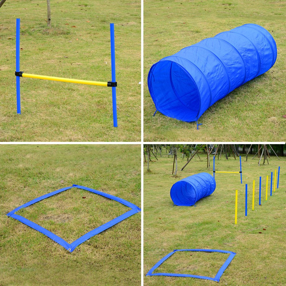 Dog Obstacle Agility Training Kit – Blue and Yellow