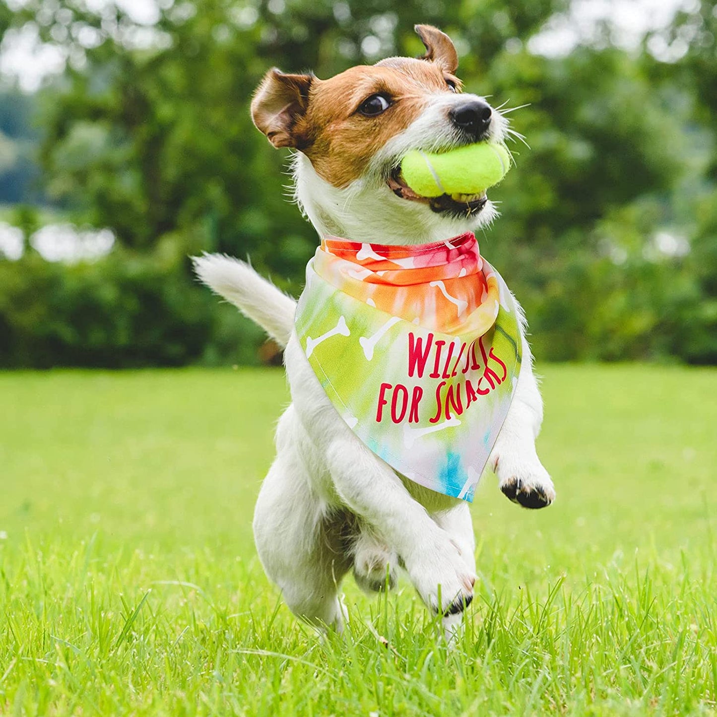 6 Pieces Tie Dye Dog Bandana Rainbow Pet Triangle Scarf Colorful Dog Costume Adjustable Reversible Pet Triangle Bibs Washable Dog Kerchief Puppy Neckerchief for Pet Dog Cat Daily Wear Birthday Party Animals & Pet Supplies > Pet Supplies > Dog Supplies > Dog Apparel Weewooday   