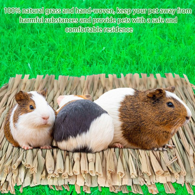 THREN 4Pack Rabbit Bunny Mat Grass Mats Natural Straw Woven Rabbits Safe & Edible Mats Cages Chew Toys Bed for Small Animal Guinea Pig Parrot Rabbit Bunny Hamster Animals & Pet Supplies > Pet Supplies > Small Animal Supplies > Small Animal Bedding THRENS   