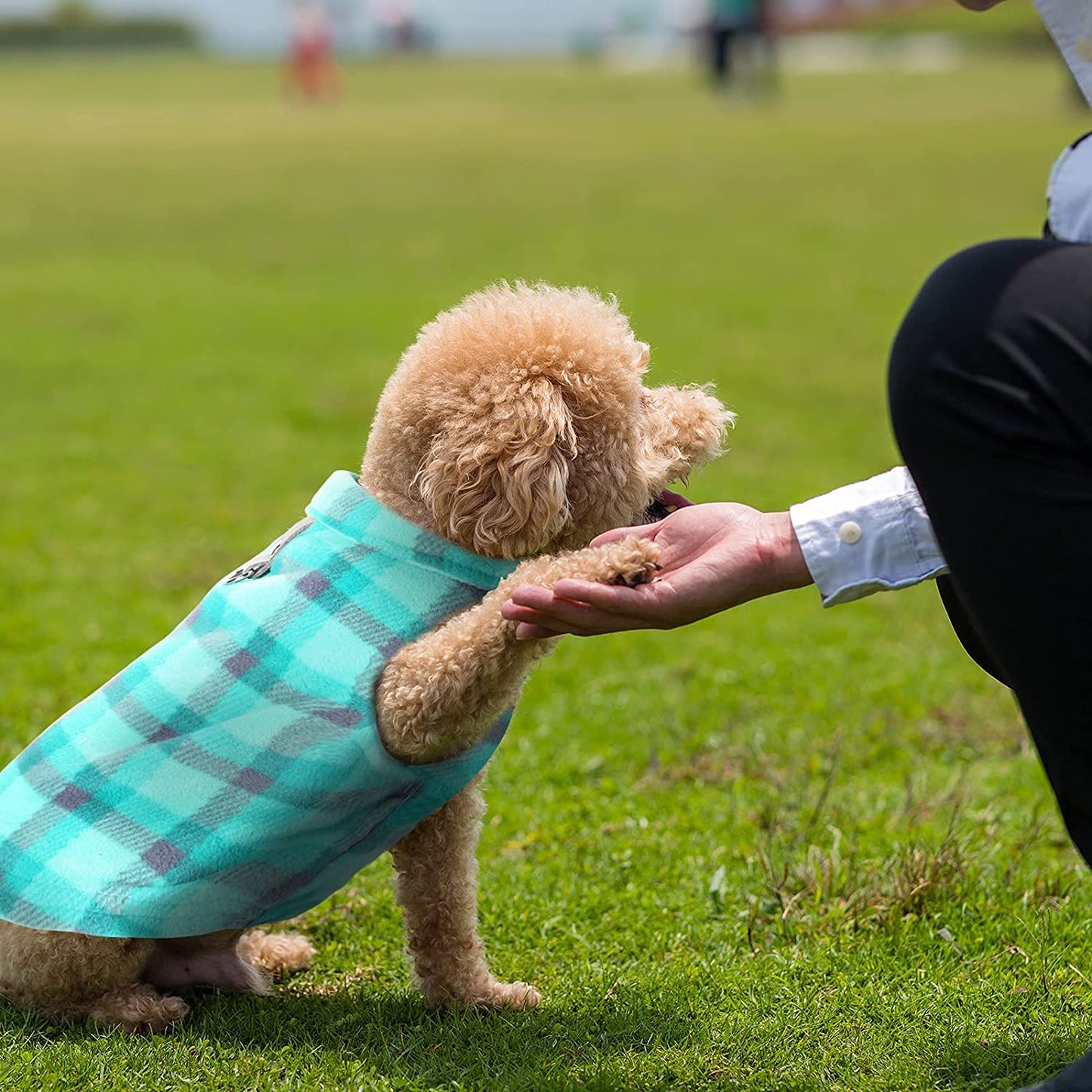 4 Pieces Winter Fabric Dog Sweater with Leash Ring Fleece Vest Dog Pullover Jacket Warm Pet Dog Clothes for Puppy Small Dogs Cat Chihuahua Boy (Plaid Pattern, XS) Animals & Pet Supplies > Pet Supplies > Dog Supplies > Dog Apparel Weewooday   