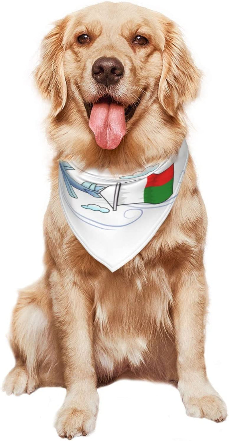 Airplane with Flag Madagascar Pet Dog and Cat Decorative Triangle Scarf,Dog Bandana,Breathable and Stain Resistant. Animals & Pet Supplies > Pet Supplies > Dog Supplies > Dog Apparel ZALTAS   