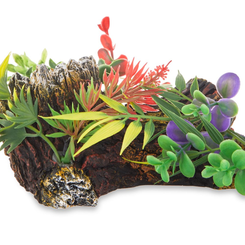 Aqua Culture Medium Wood Aquarium Ornament, Style and Color May Vary Animals & Pet Supplies > Pet Supplies > Fish Supplies > Aquarium Decor Wal-Mart Stores, Inc.   