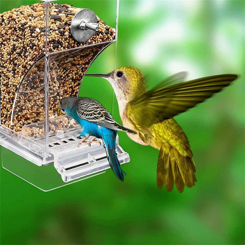 Catinbow No Mess Bird Feeders - Automatic Parrot Feeder Drinker | Acrylic Seed Food Container | Cage Accessories for Small and Medium Parakeets Cockatiels Lovebirds Animals & Pet Supplies > Pet Supplies > Bird Supplies > Bird Cage Accessories Catinbow   