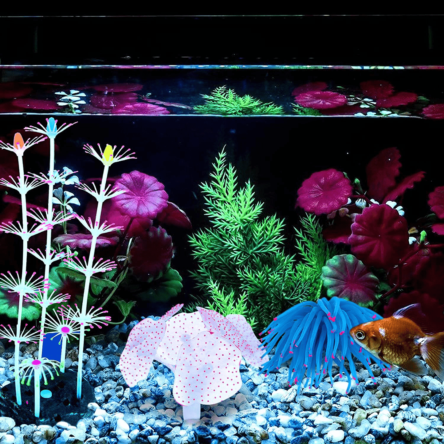 Allnice Fish Tank Decoration Plants, 5 Pieces Glowing Aquarium Decorat –  KOL PET