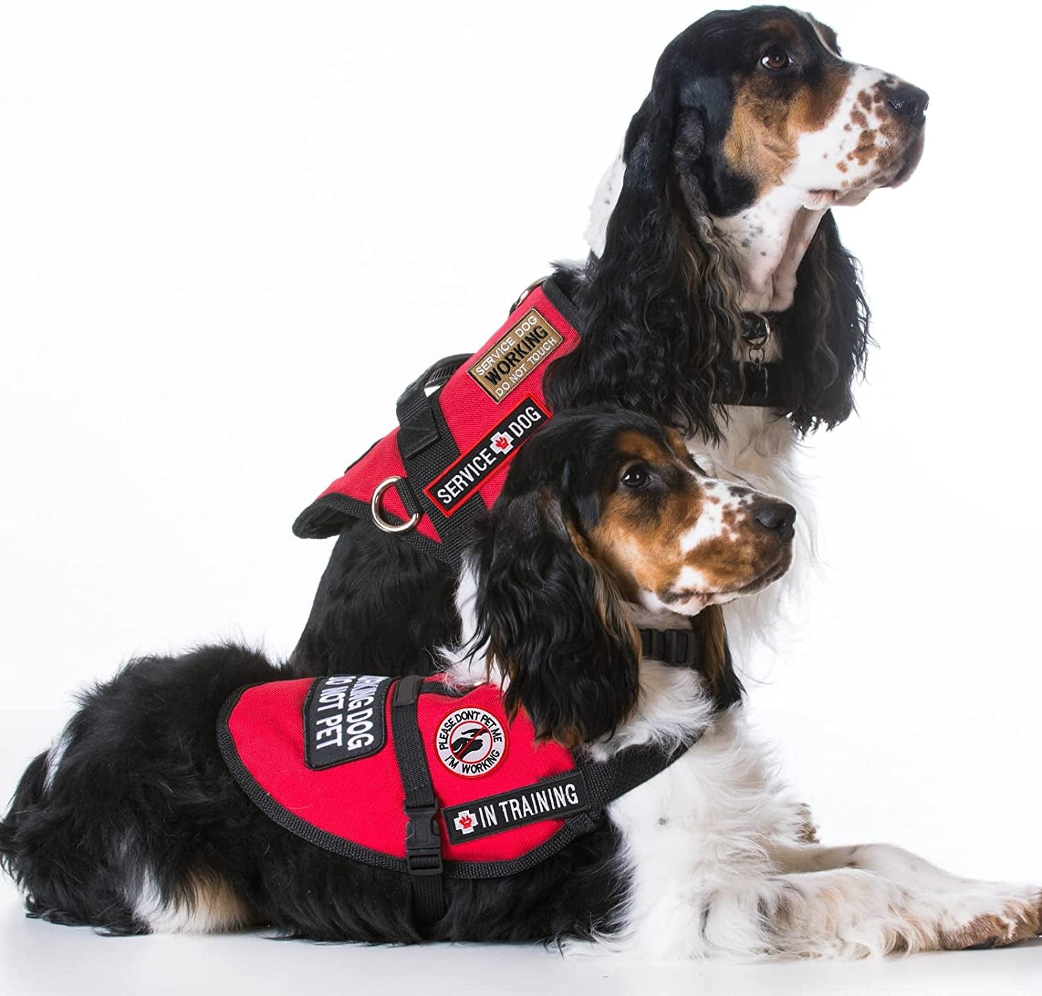 16 Pieces Service Dog Patch Do Not Pet Patch Ask to Pet Patch Removable Service Dog Vest Patches Embroidery Tactical Patches with Hook and Loop American Flag Dog Patches for Dog Harness Vest Collar Animals & Pet Supplies > Pet Supplies > Dog Supplies > Dog Apparel MTLEE   