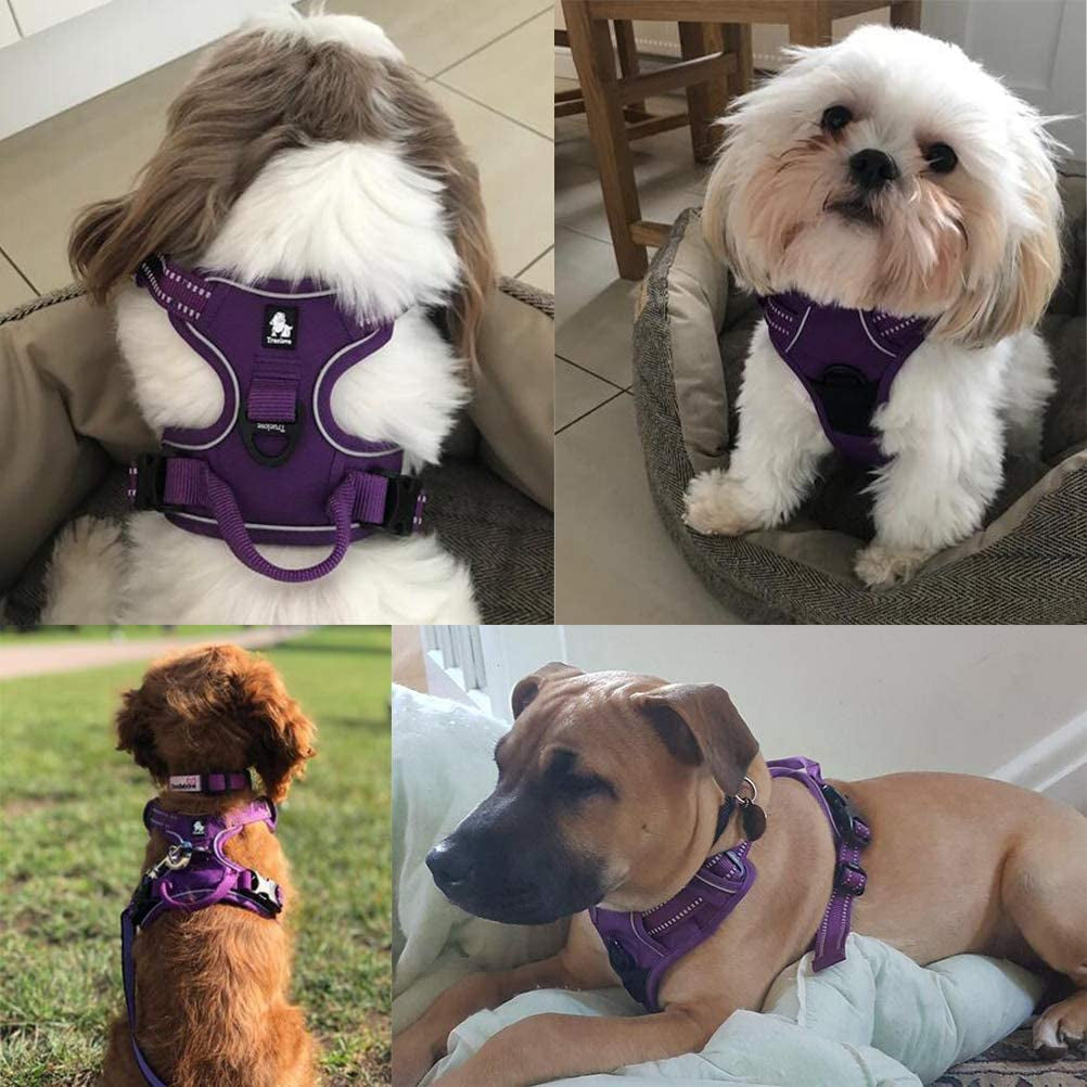 Tineer Reflective Nylon Large Pet Dog Harness 3M Reflective Vest with Handle All Weather Dog Service Padded Adjustable Safety Vehicular Leads for Dogs Pet (XS, Purple) Animals & Pet Supplies > Pet Supplies > Dog Supplies > Dog Apparel Tineer   