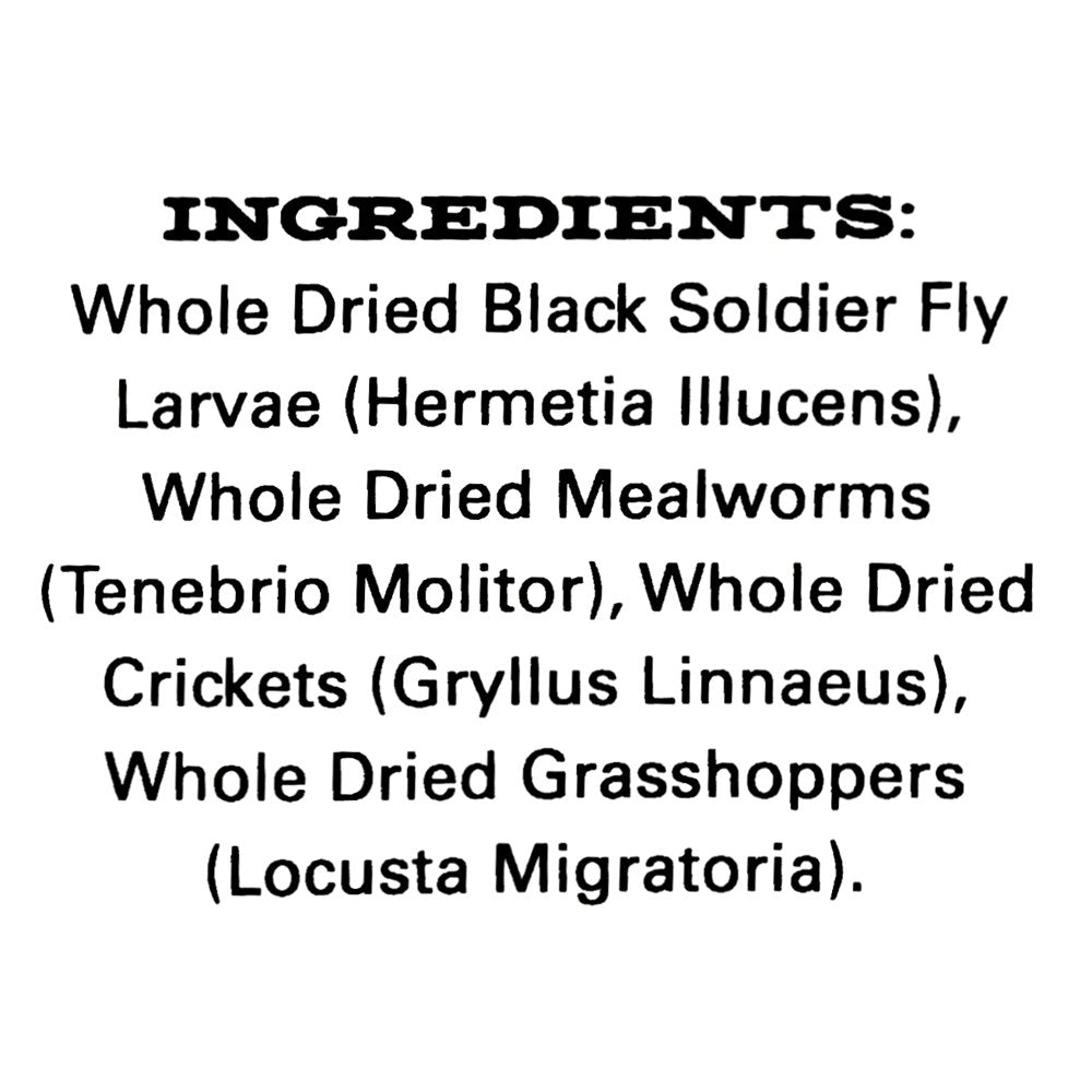 Insect Trail Mix Premium Treat for Chickens 10 Oz KOL PET